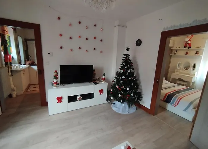 Charmant Appartement De 3 Pieces, Colmar
