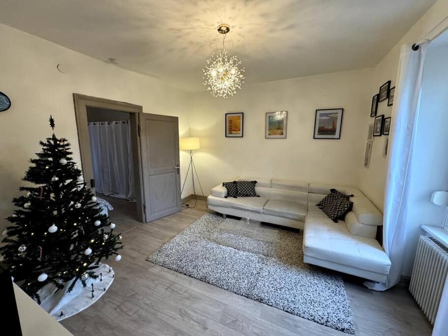 De 3 Pieces, Apartment Colmar