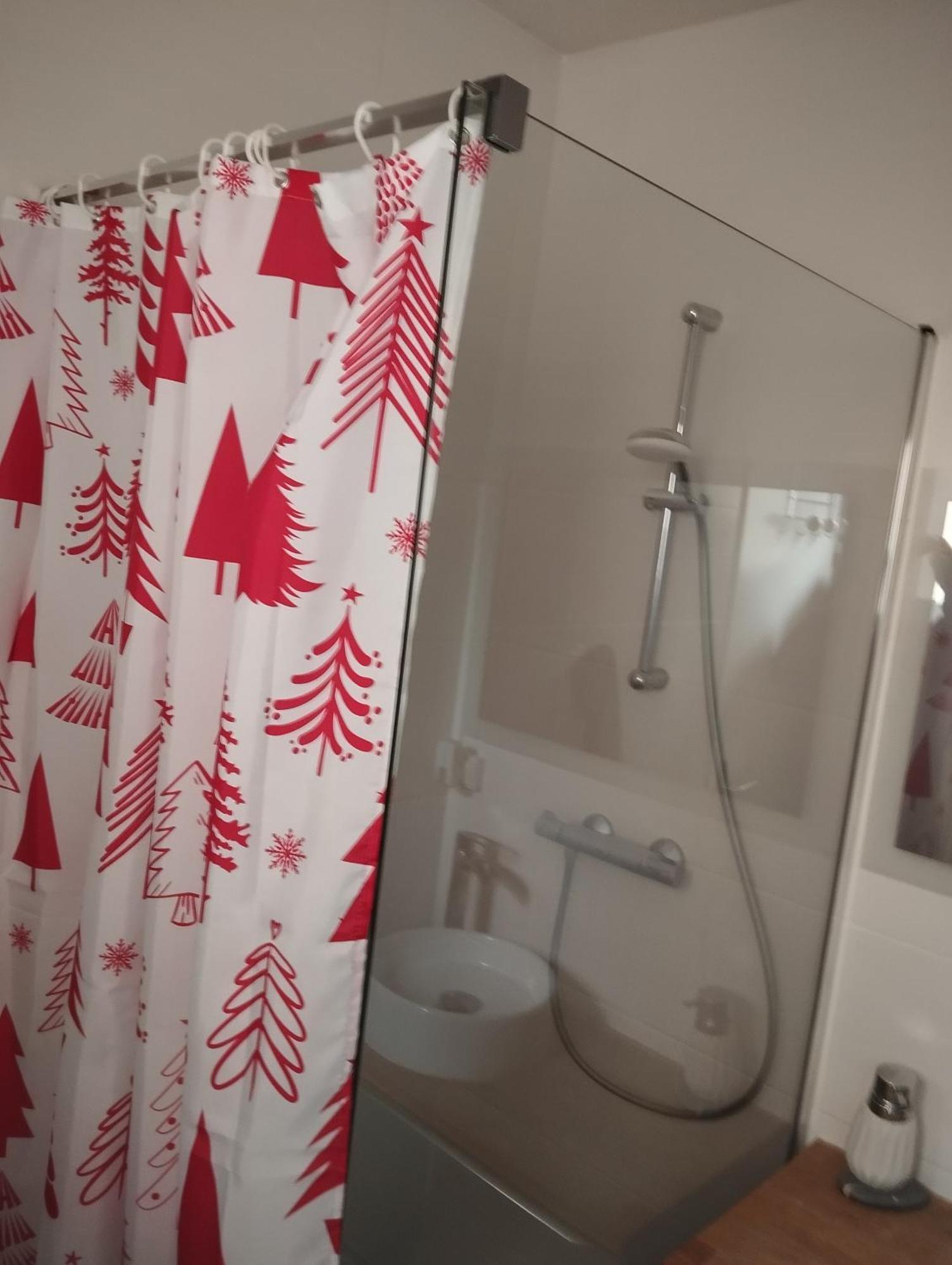 Apartment De 3 Pieces, Colmar